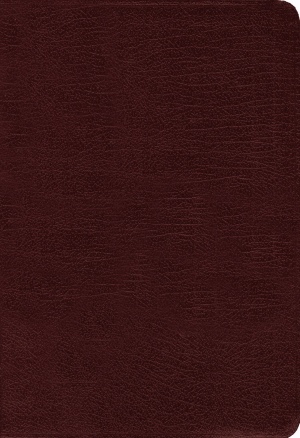 Amplified Holy Bible (Revised) Burgundy Bonded Leather